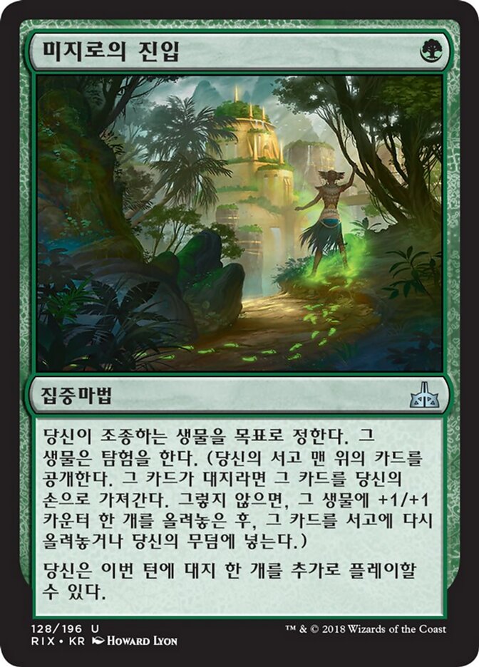 미지로의 진입