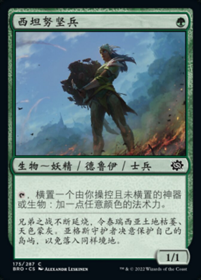 西坦努坚兵