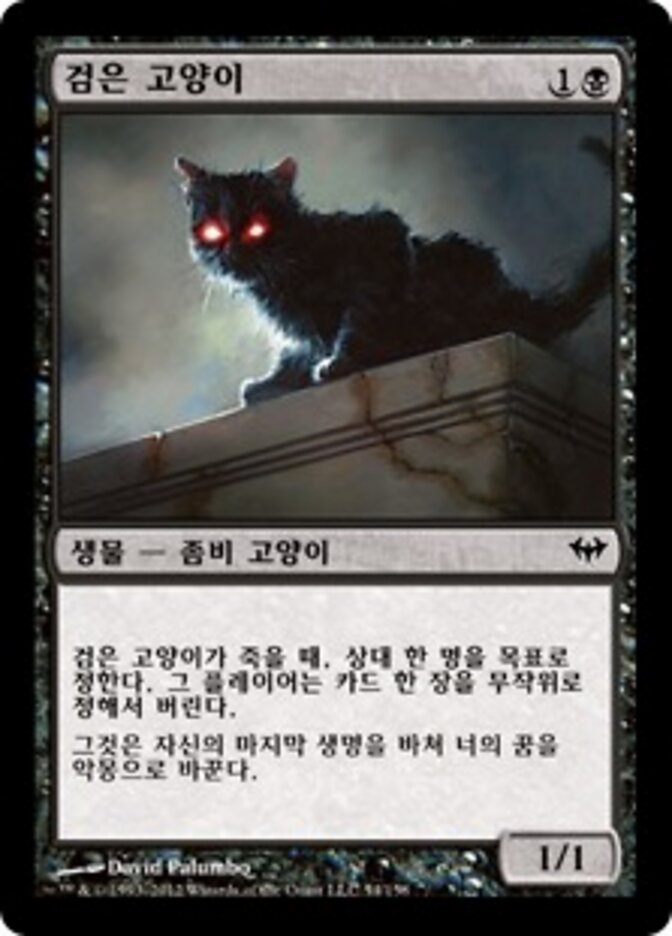 검은 고양이