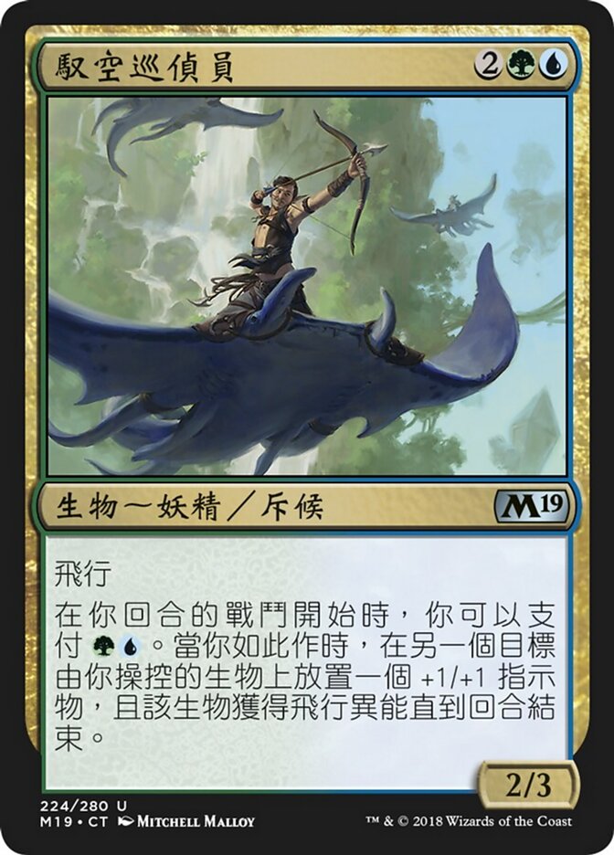 馭空巡偵員