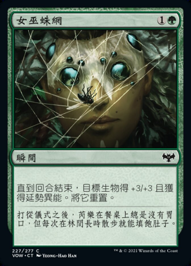 女巫蛛網