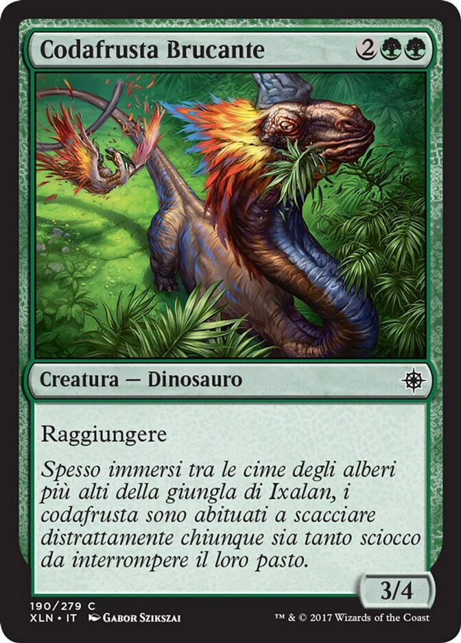 Codafrusta Brucante