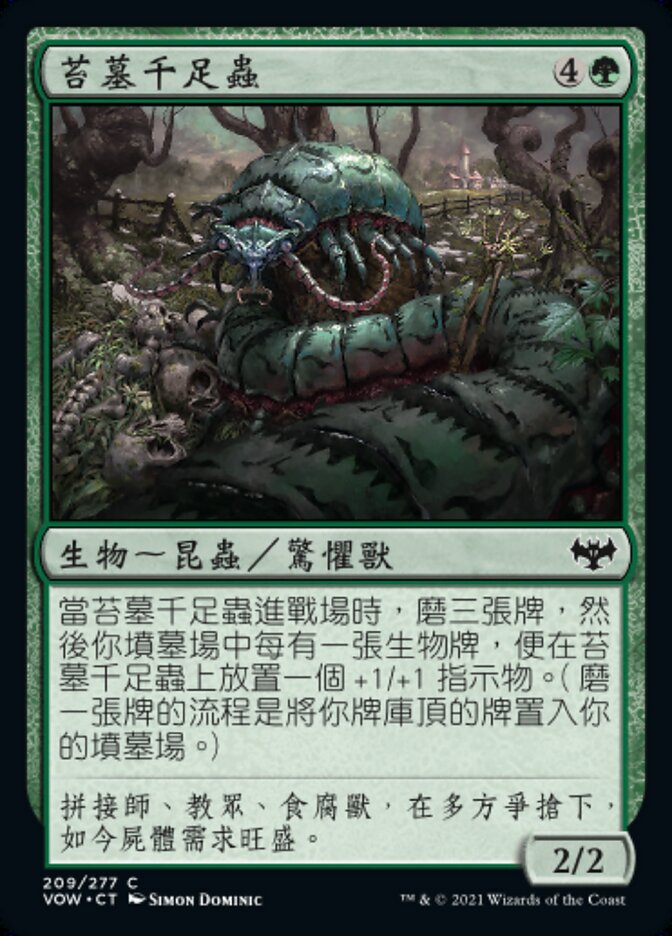 苔墓千足蟲