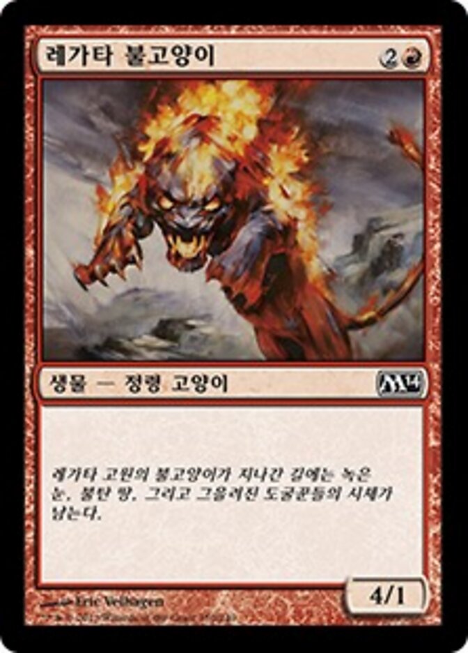 레가타 불고양이