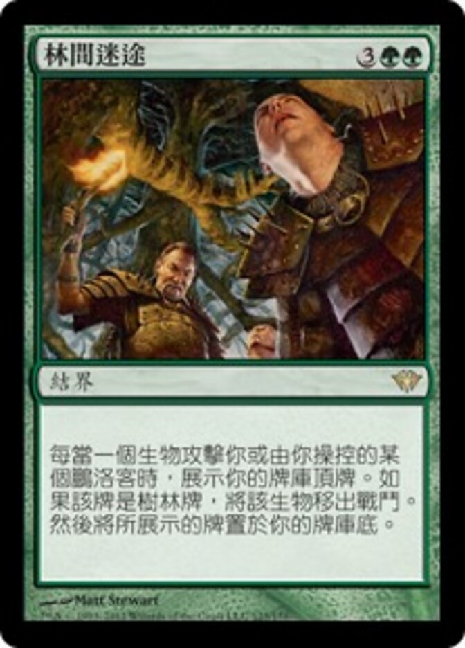 林間迷途