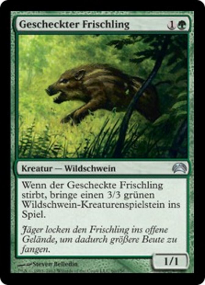 Gescheckter Frischling