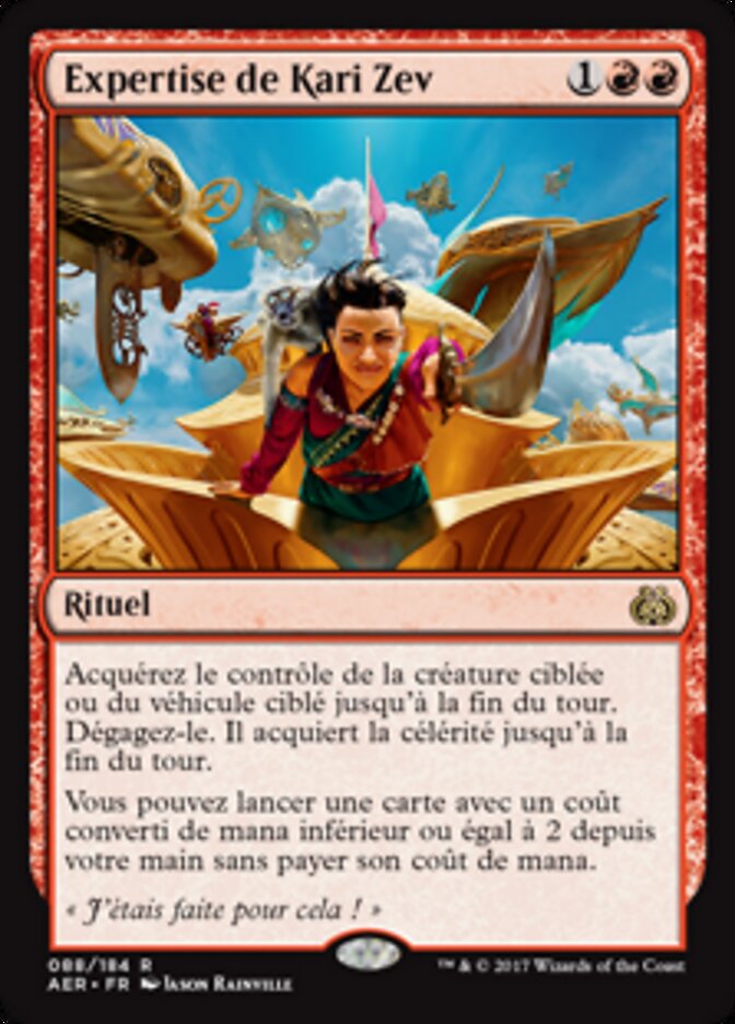 Expertise de Kari Zev