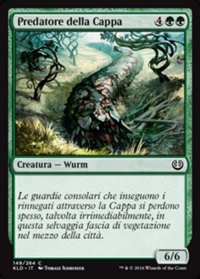 Predatore della Cappa
