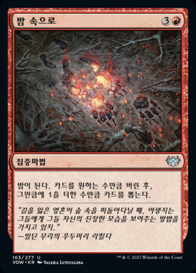밤 속으로