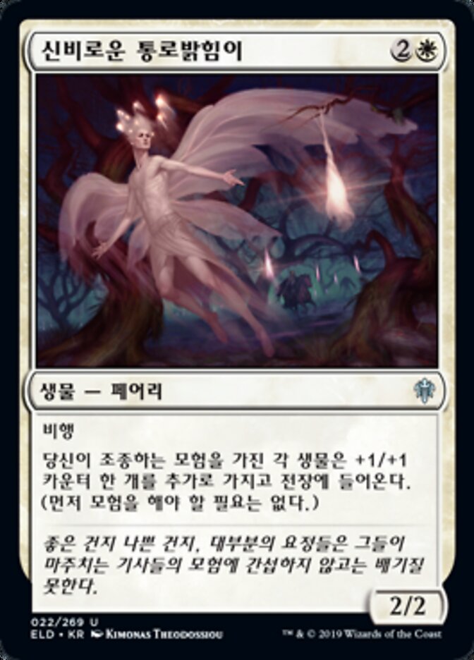 신비로운 통로밝힘이