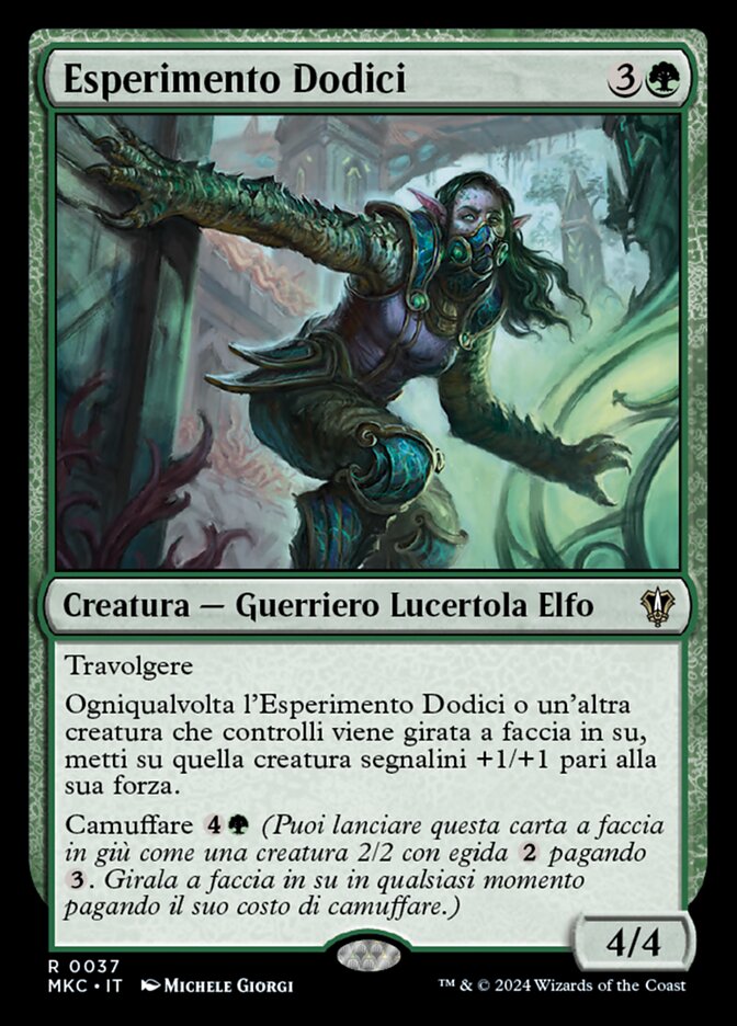 Esperimento Dodici