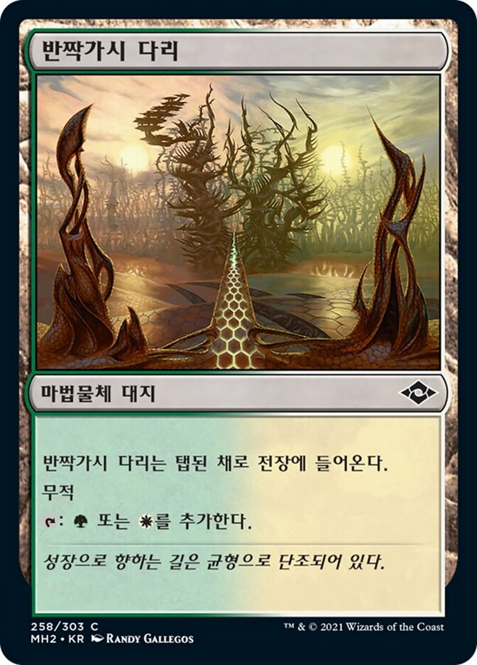 반짝가시 다리