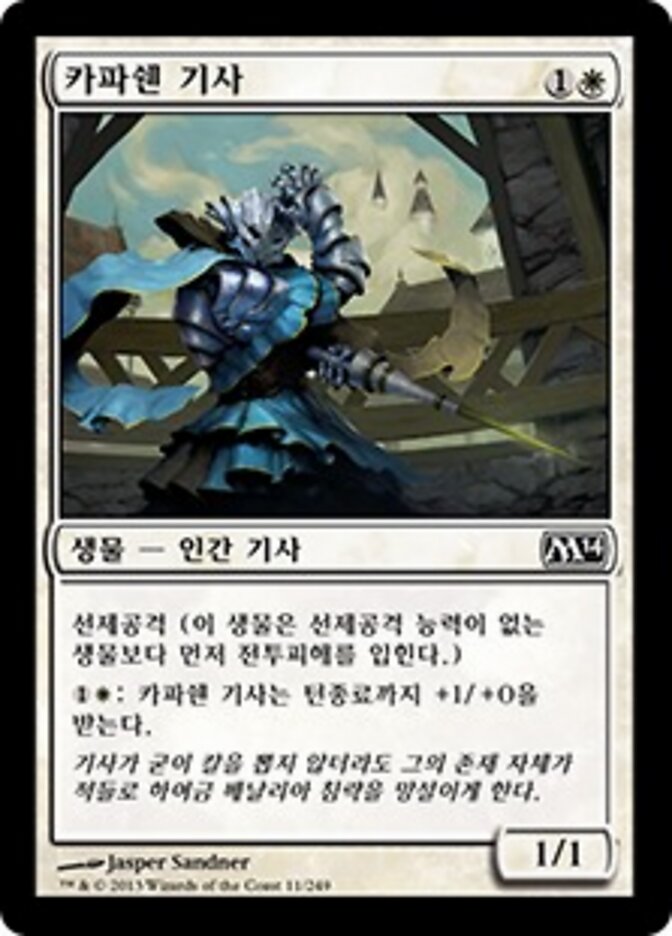 카파쉔 기사