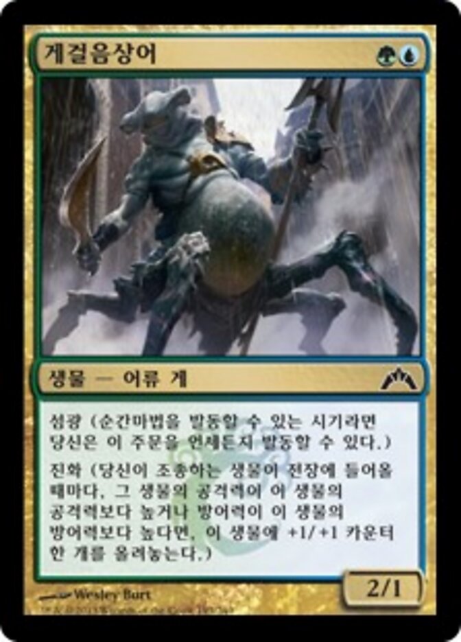 게걸음상어