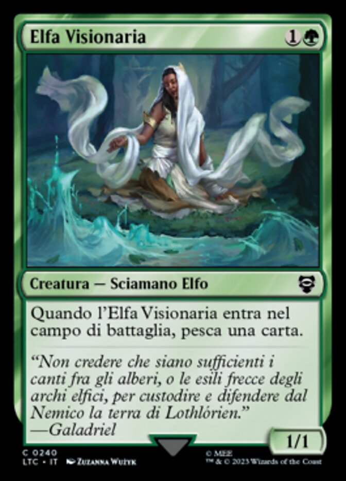 Elfa Visionaria