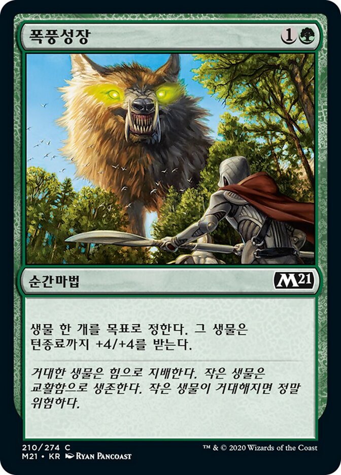 폭풍성장