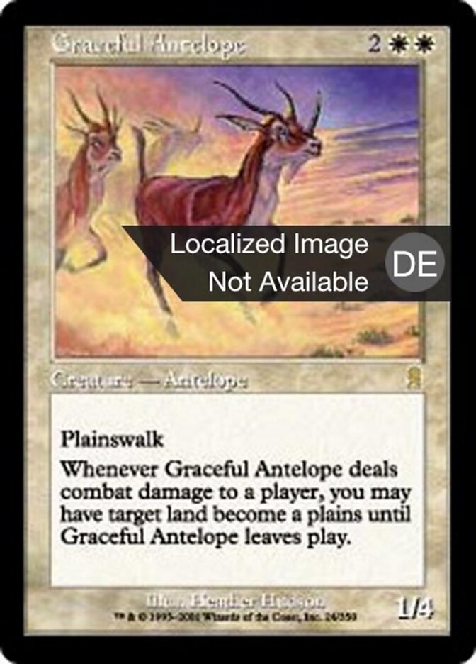 Anmutige Antilope