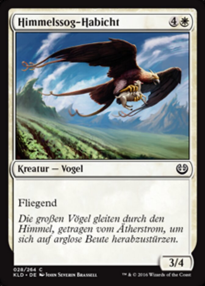 Himmelssog-Habicht