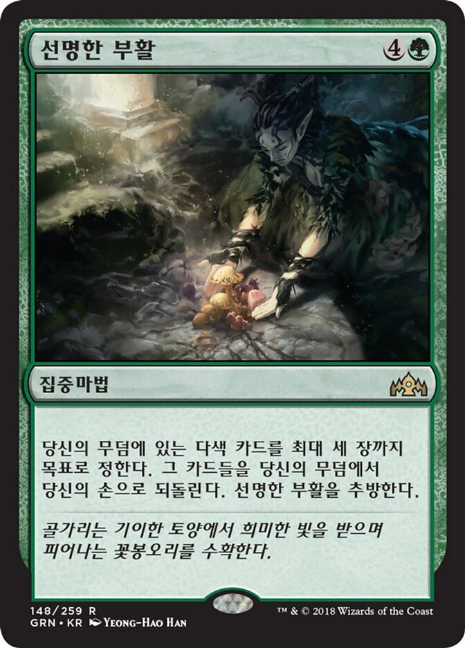 선명한 부활