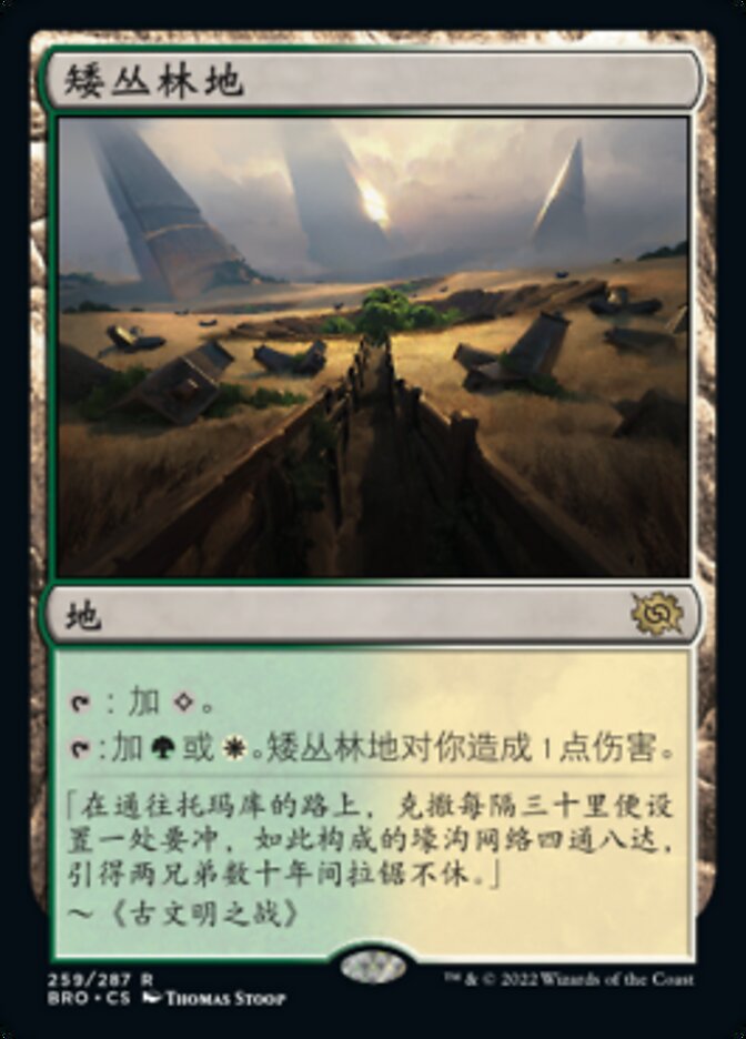 矮丛林地