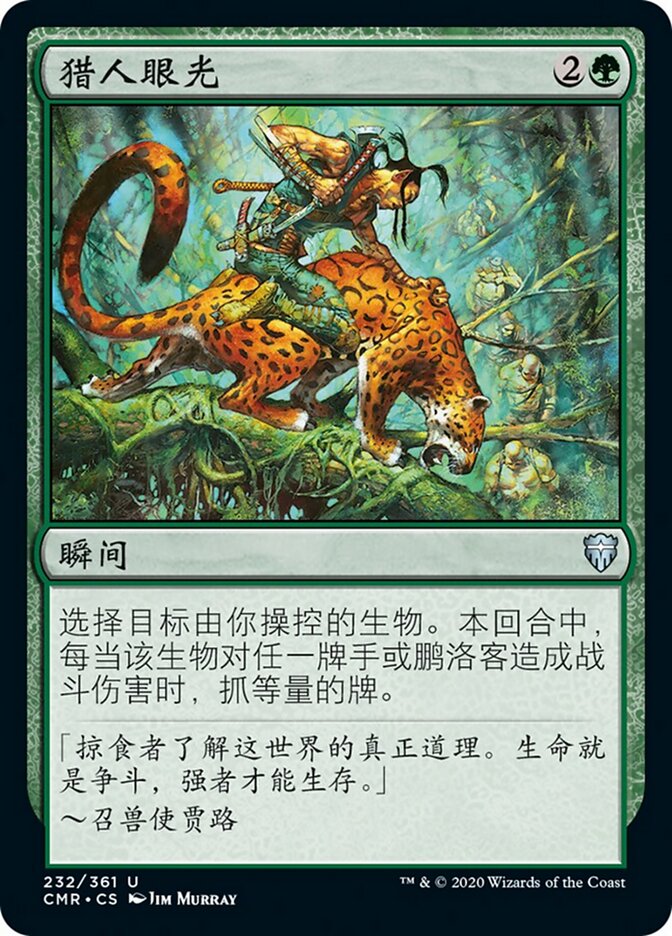 猎人眼光