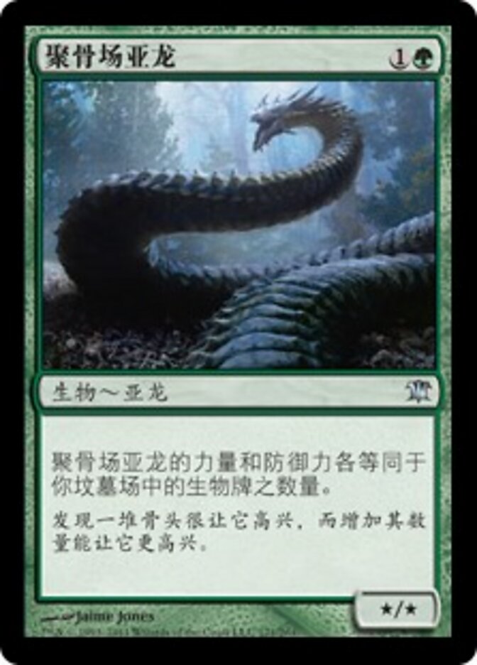 聚骨场亚龙