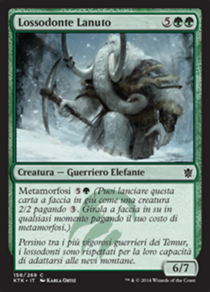 Lossodonte Lanuto