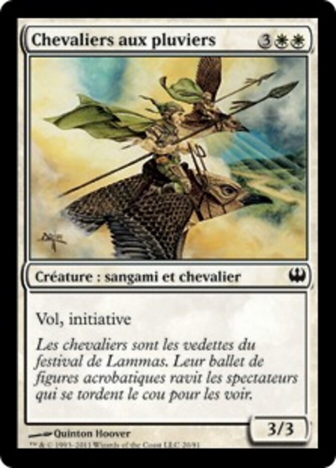 Chevaliers aux pluviers