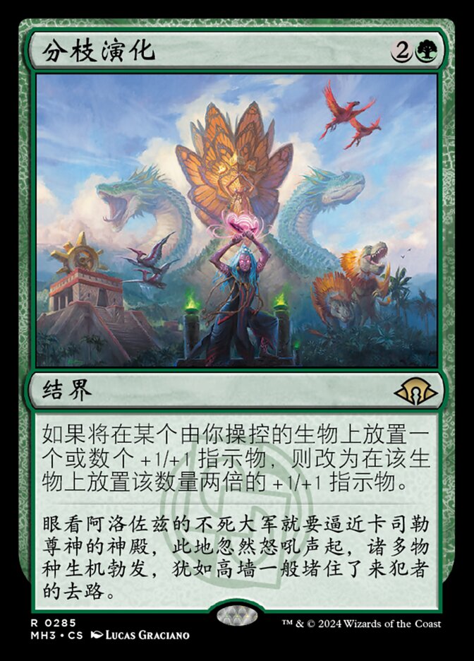 分枝演化