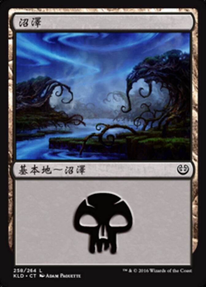 沼澤