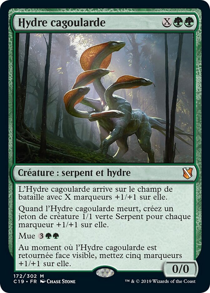 Hydre cagoularde