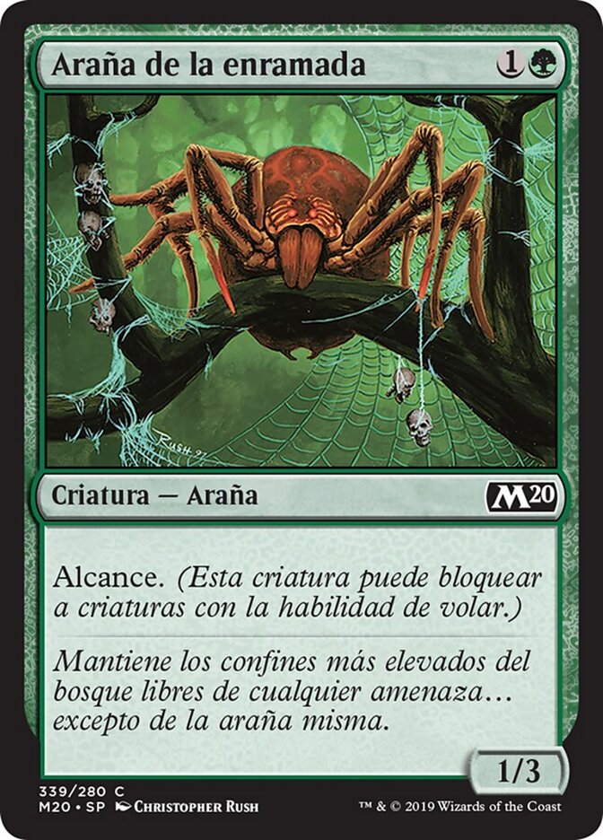 Araña de la enramada
