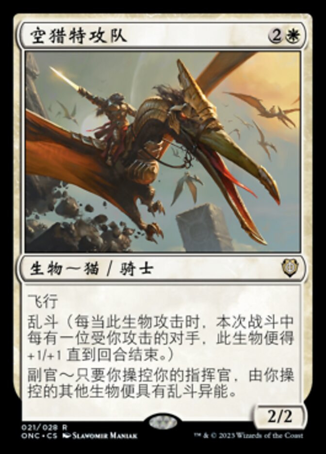 空猎特攻队