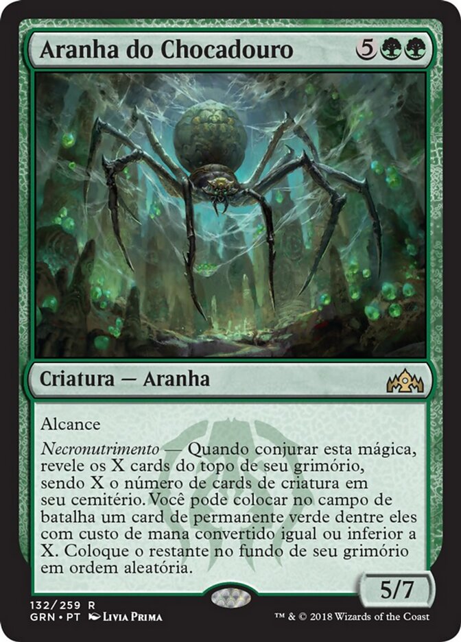 Aranha do Chocadouro