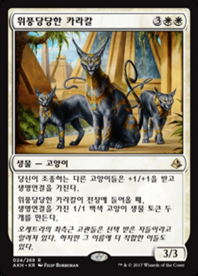 위풍당당한 카라칼