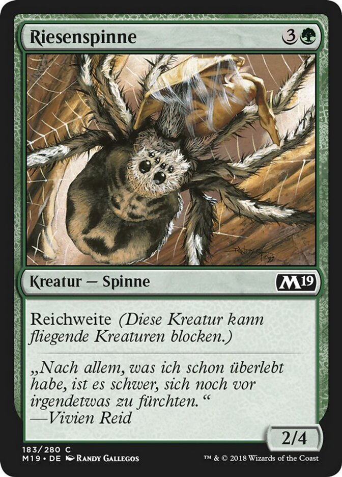 Riesenspinne