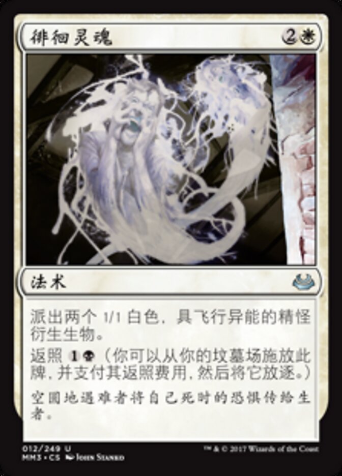 徘徊灵魂