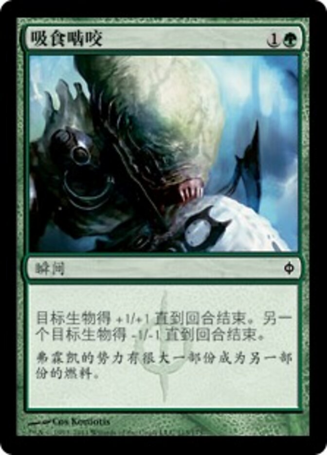 吸食啮咬