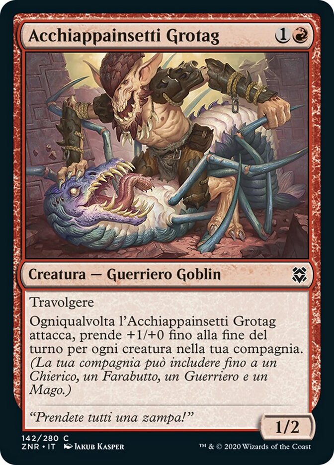 Acchiappainsetti Grotag