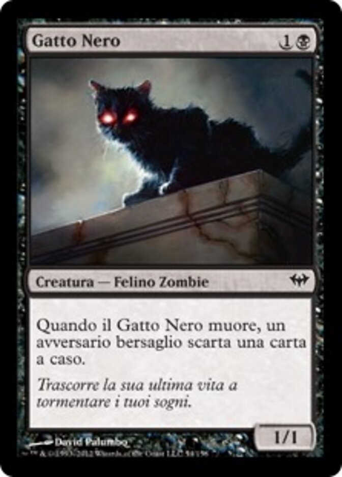 Gatto Nero
