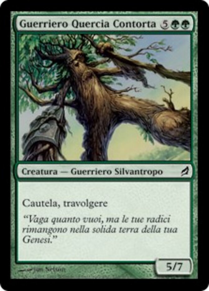 Guerriero Quercia Contorta