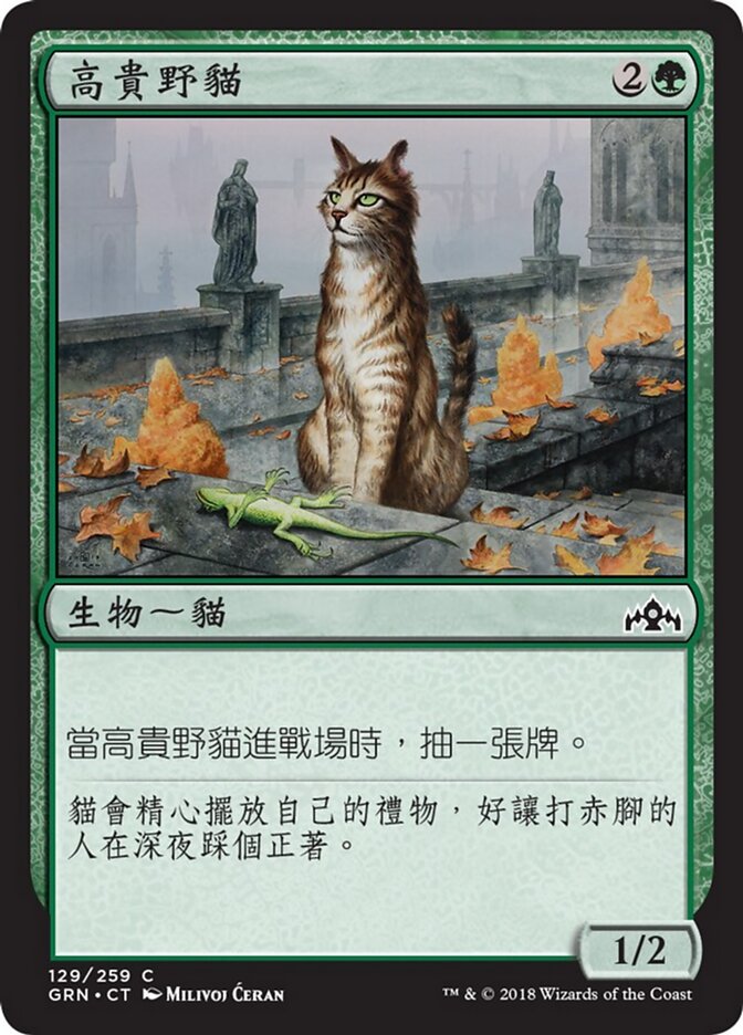 高貴野貓