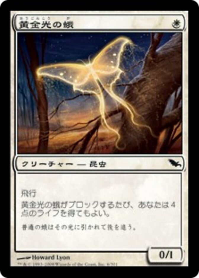 黄金光の蛾