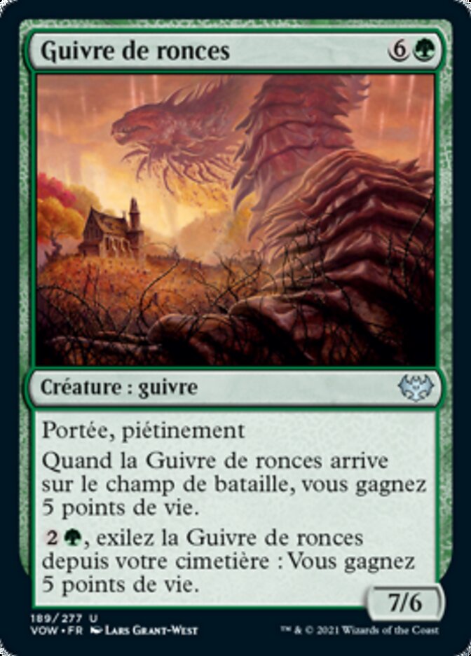 Guivre de ronces