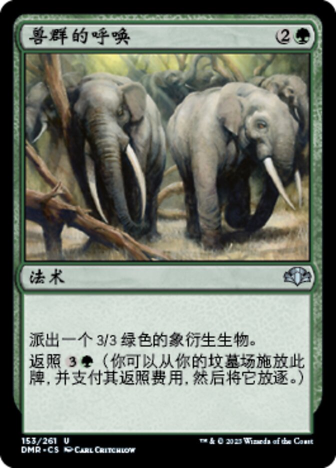 兽群的呼唤