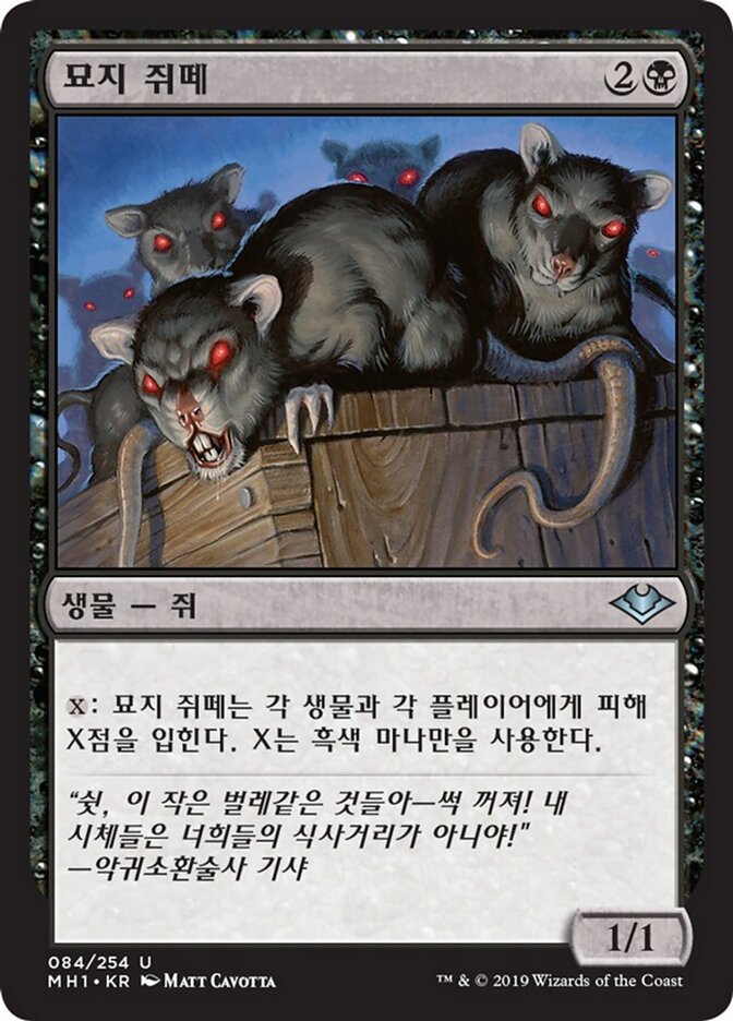 묘지 쥐떼