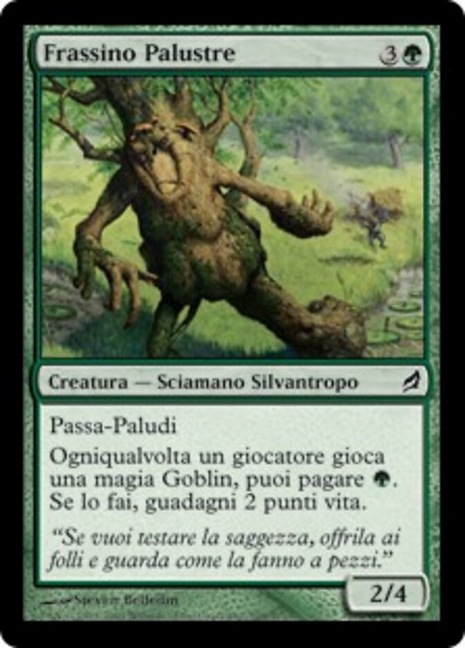 Frassino Palustre