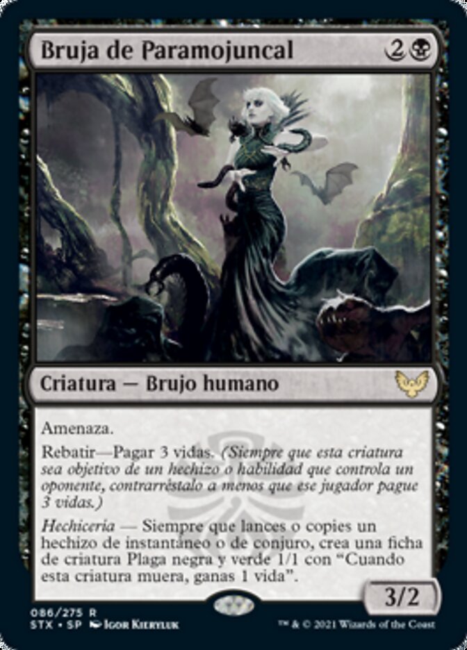 Bruja de Paramojuncal