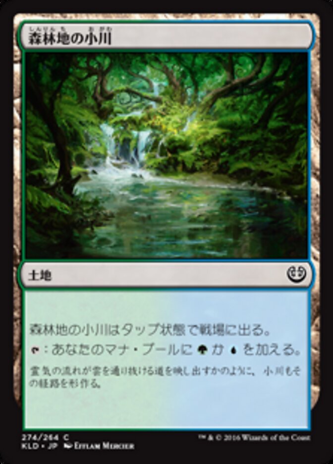 森林地の小川