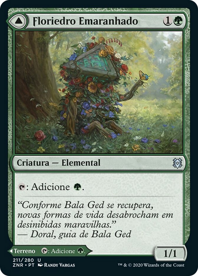 Tangled Florahedron // Tangled Vale